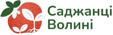 Саджанці Волині 